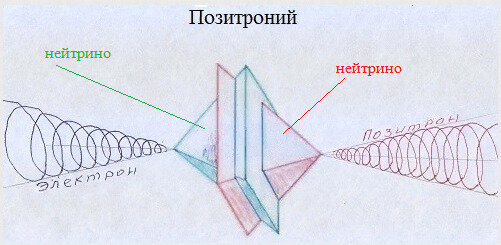 Позитроний состоит из электрона и позитрона.