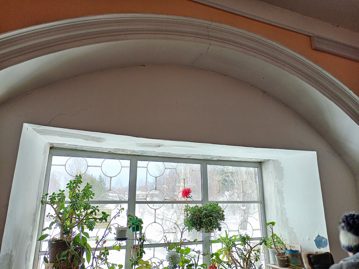 Соседка всегда ухаживала за цветами. Фото автора. 