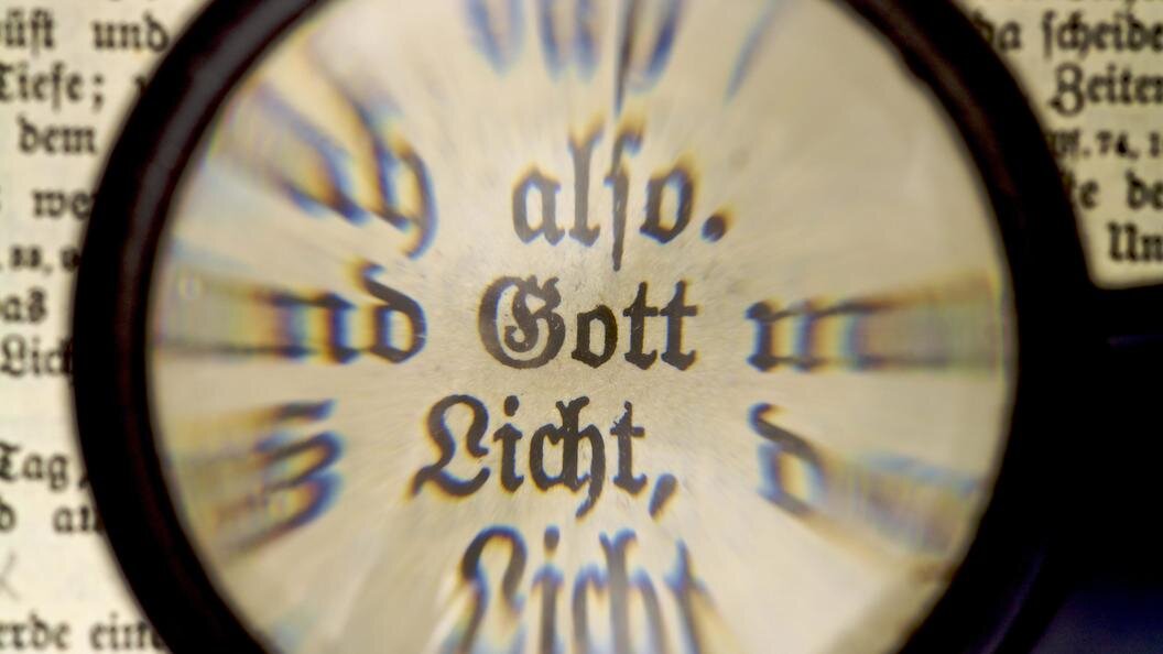    Фото: Jürgen Eis/imageBROKER.com/GLOBALLOOKPRESS