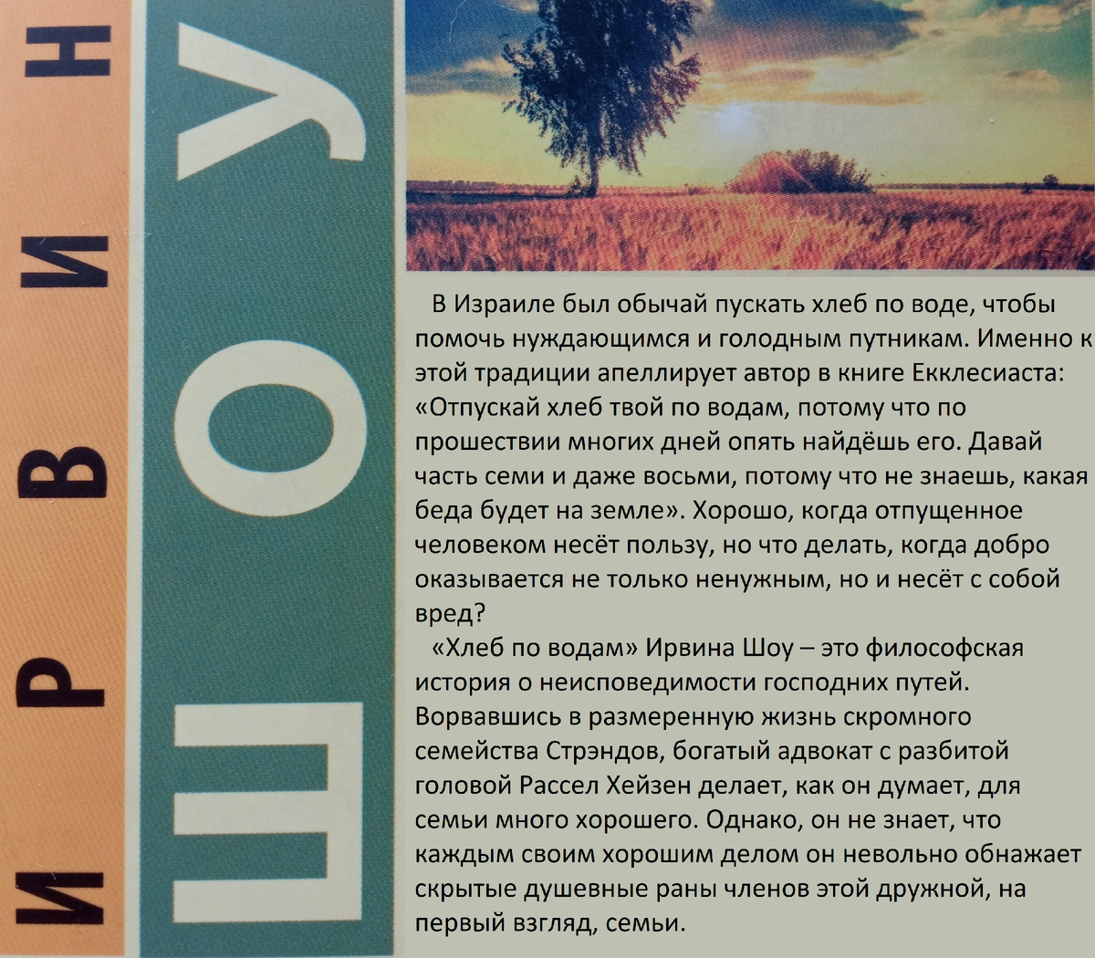 Аннотация взята с фотографии из статьи Юлии. https://dzen.ru/a/ZdCDitywnzYZ4YLM