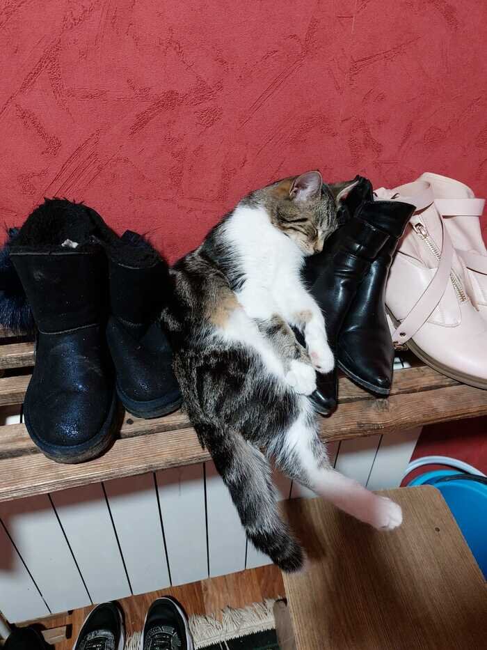 Листайте вправо, чтобы увидеть больше изображений