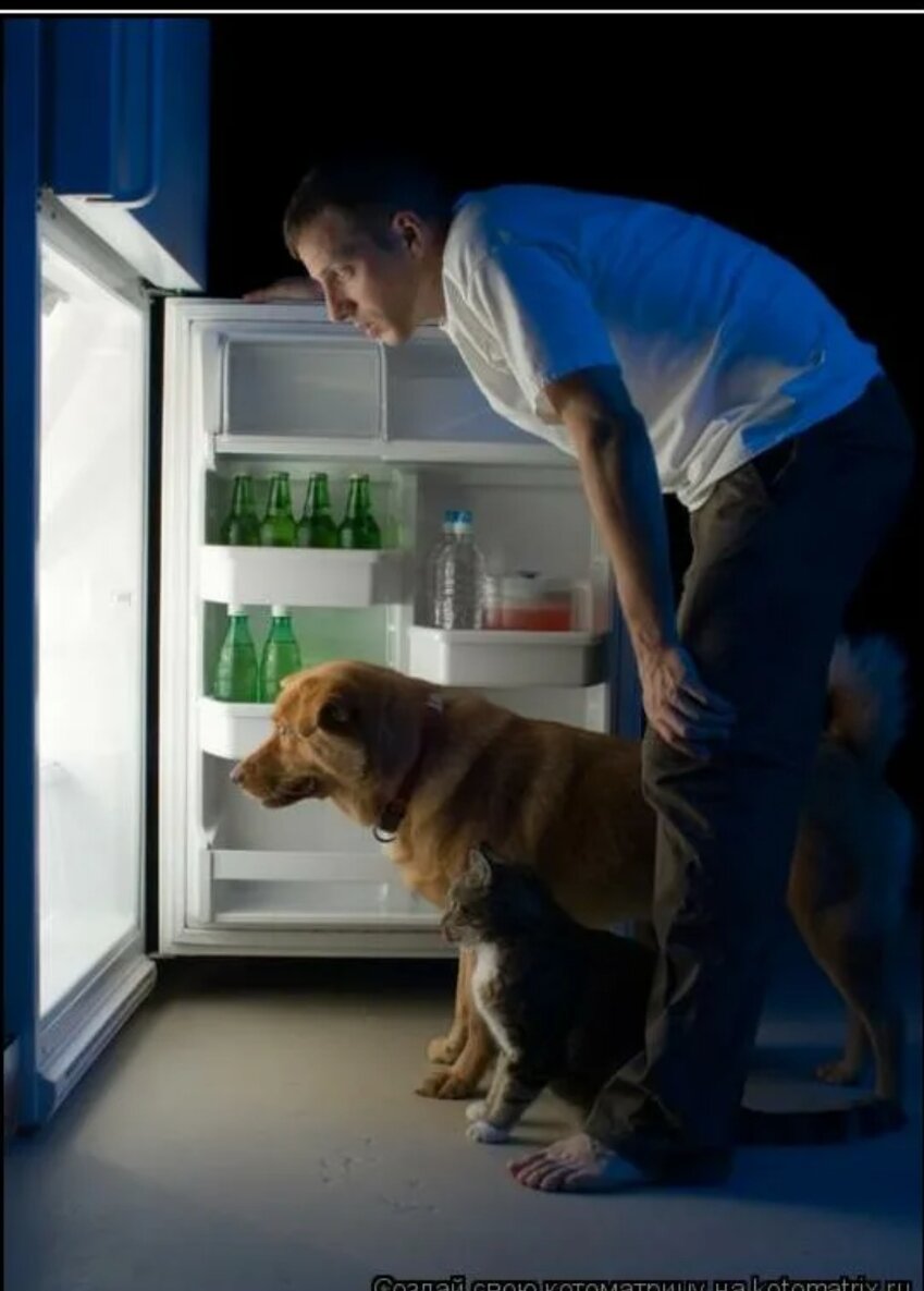 Взято в свободном доступе.