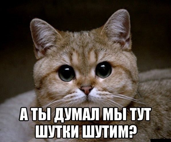 источник Яндекс-картинки