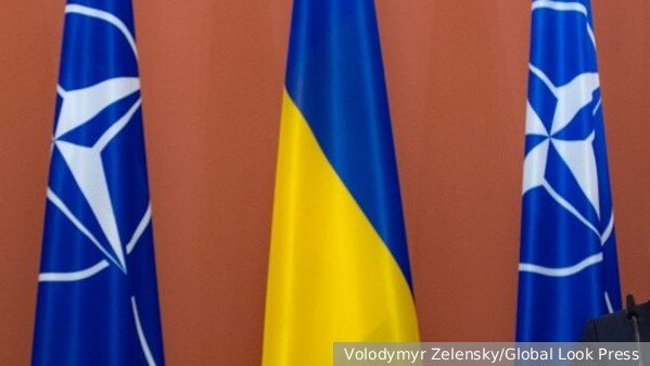     Фото: Volodymyr Zelensky/Global Look Press   
 Текст: Антон Антонов