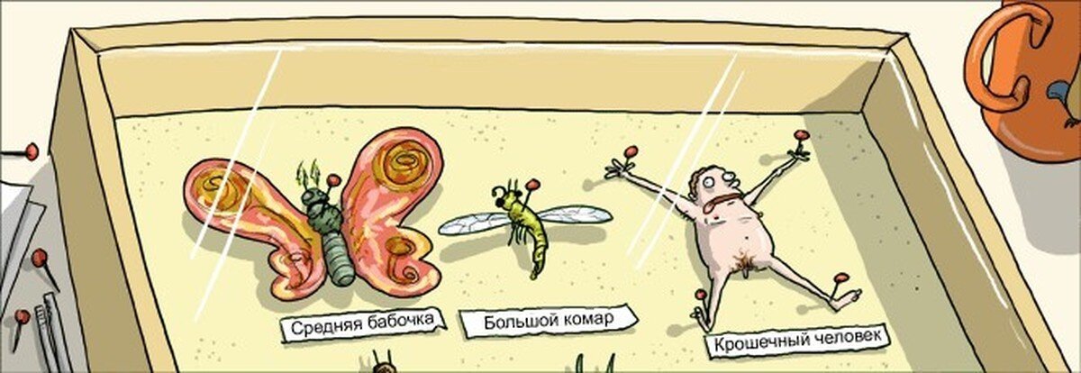 Яндекс.Картинки