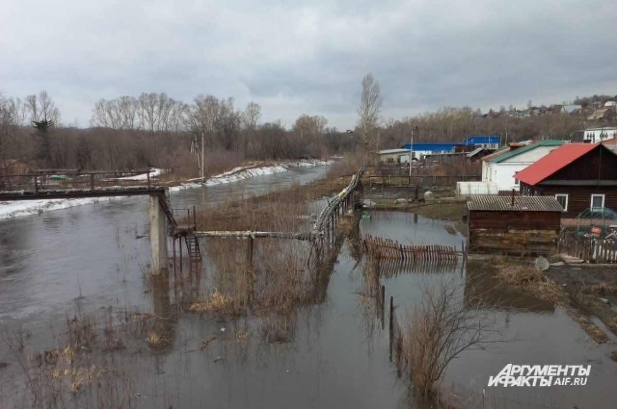 Лет 15 я такой воды не видала». В Кузбассе начинается паводок | АиФ–Кузбасс  | Дзен