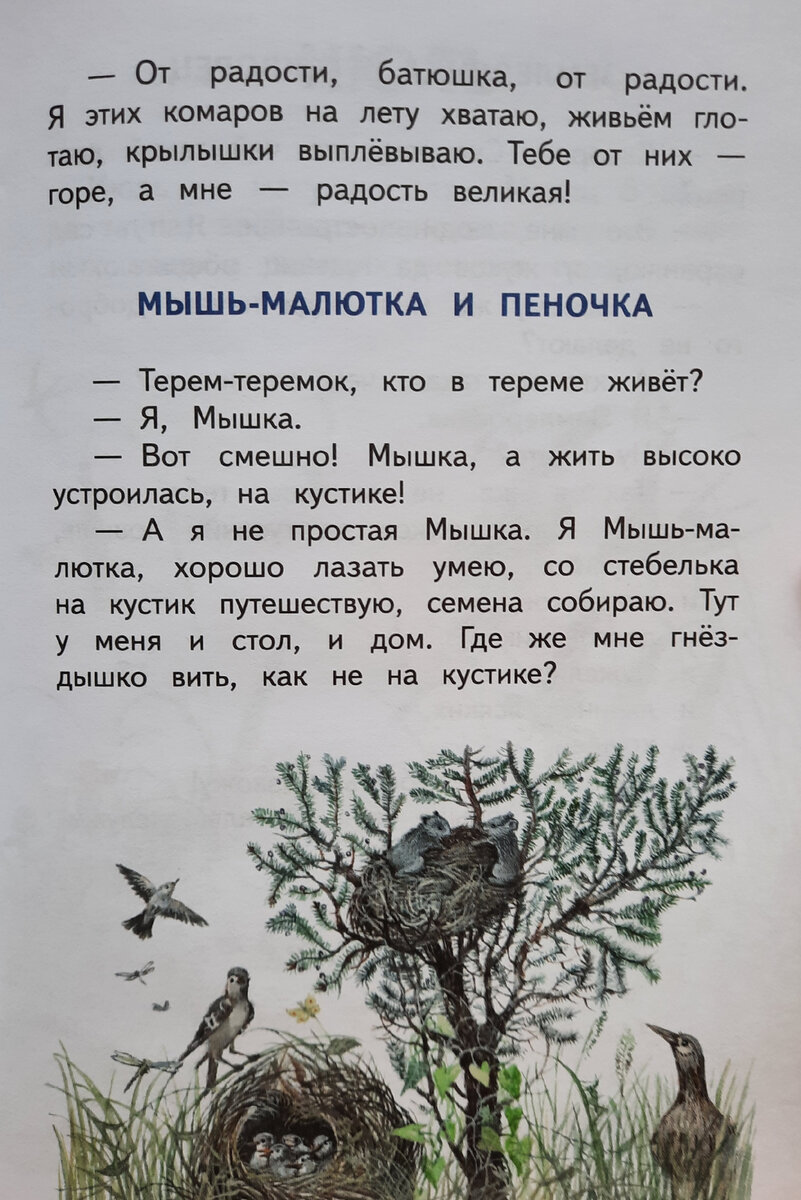 Июнь. Рассказы про животных и природу для детей. Лесные разговоры. Авторы:  Алексей Ливеровский, Эдуард Шим | Сказки для детей | Дзен