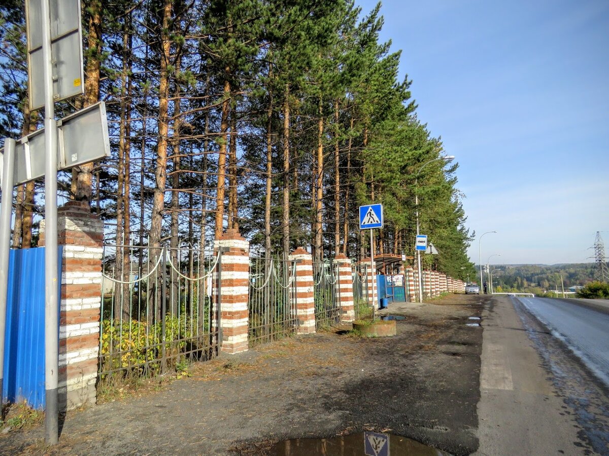 В барзасской тайге вставал новый город - светлый и радостный. г Берёзовский  - ч 1 | Екатерина про Кемерово | Дзен