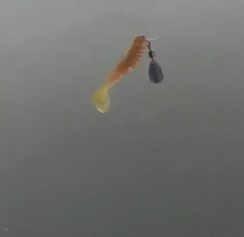 ДжигРигКазань с приманкой 40 мм, крючок 10, груз 2 гр.