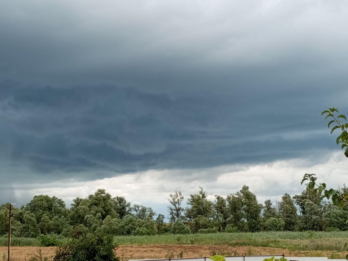 Это моя родная земля. 