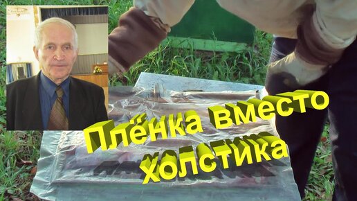 Профессор Кашковский: можно ли использовать плёнку вместо холстика