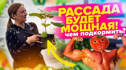 ЧТО с РАССАДОЙ? ВСЕ о ДЕФИЦИТАХ ПИТАНИЯ РАССАДЫ