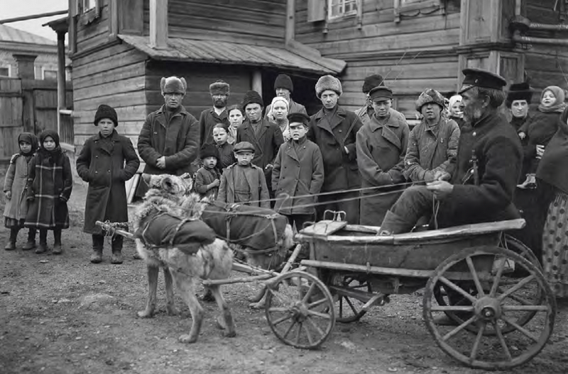 Красноярец Онипко в повозке, запряженной волками. 5 апреля 1909 г.
