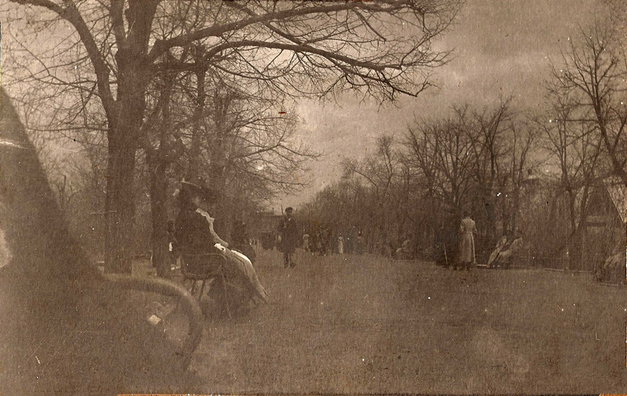 Новочеркасск. Аллея городского сада. 1910 год. Фото из открытых источников.