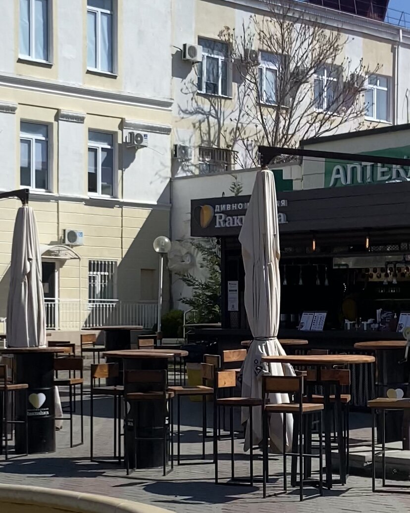 Дивноморская ракушка