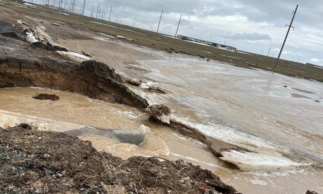 Фото пресс-службы акима Костанайской области