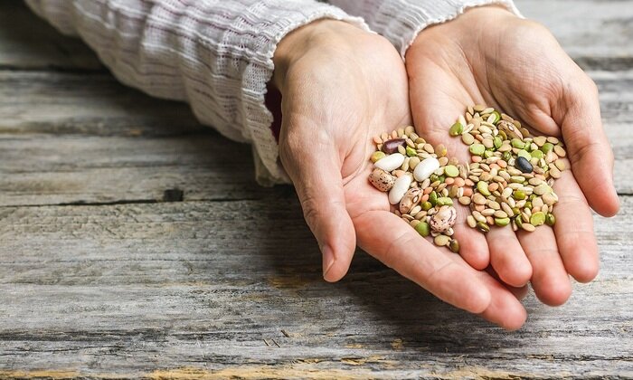    Мошенники наживаются на фальшивых семенах и саженцах