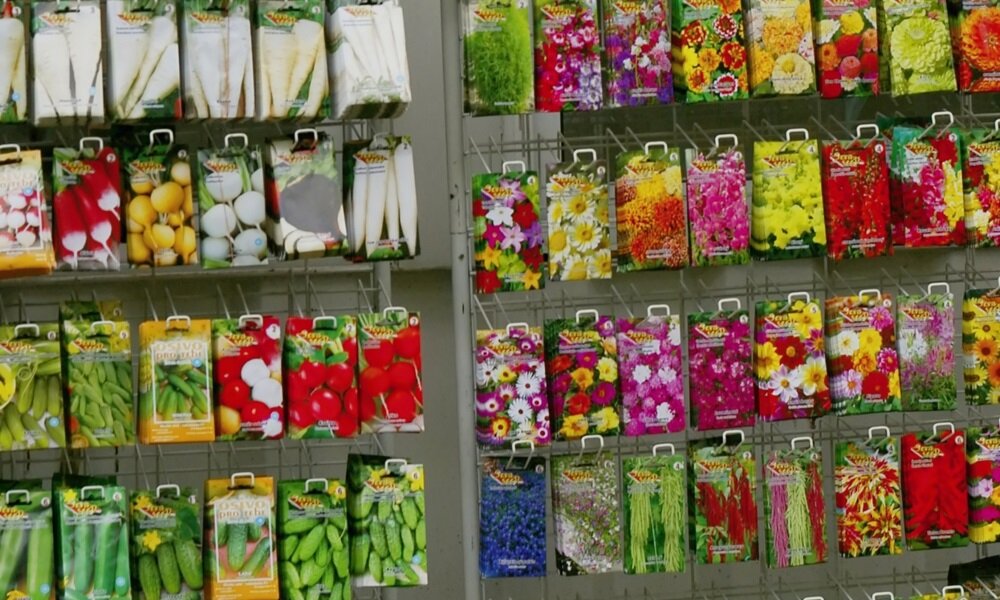    Мошенники наживаются на фальшивых семенах и саженцах