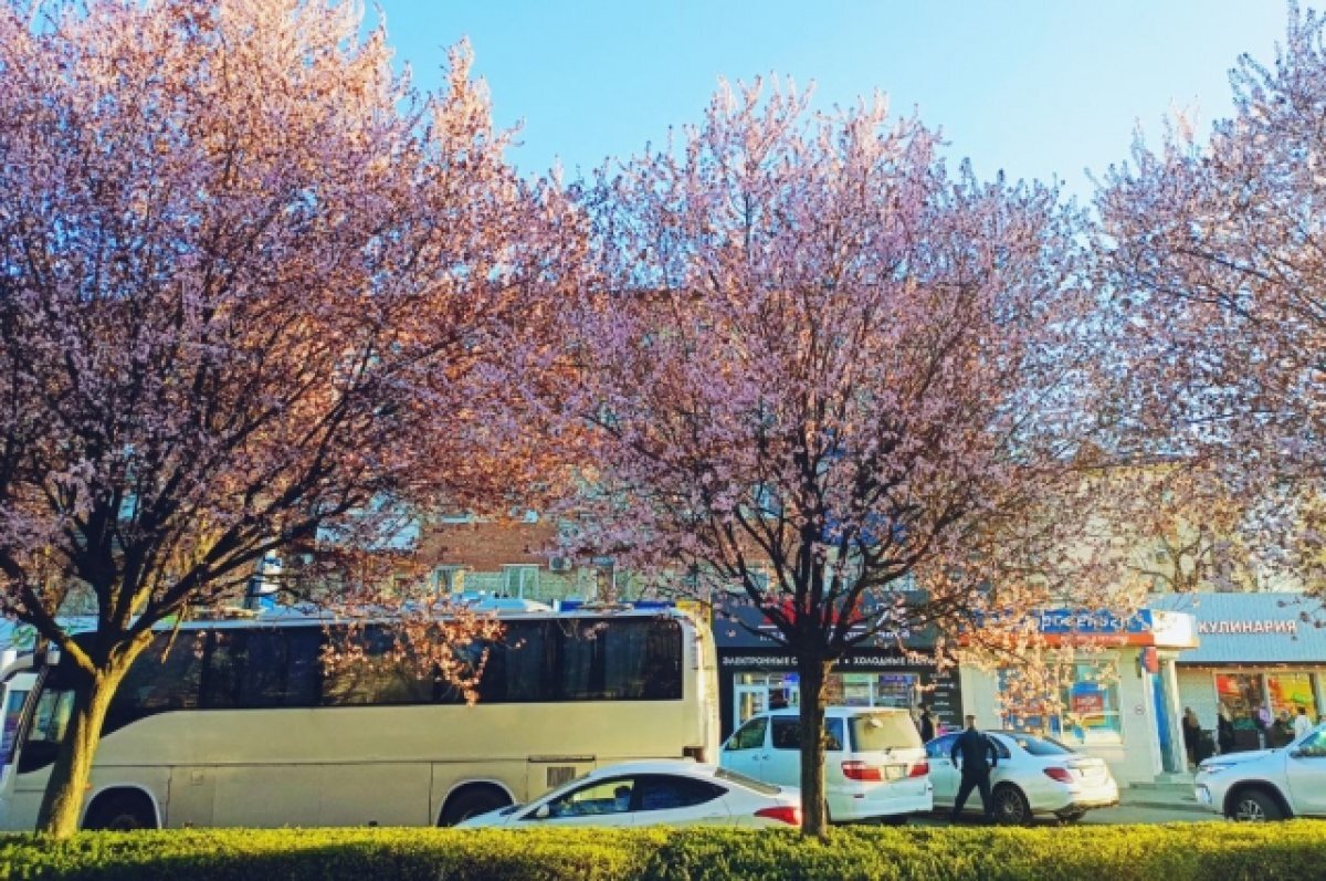    Краснодар вошел в топ-5 самых комфортных для жизни городов-миллионников