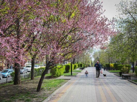    // Фото с сайта rostov-gorod.ru