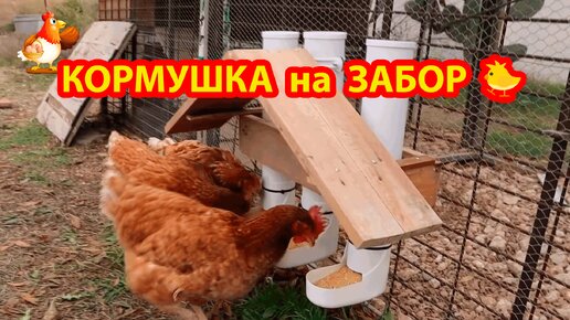 Кормушка курам несушкам на забор из 3-х секций 🐓 Сделай сам своими руками и порадуй несушек 😂