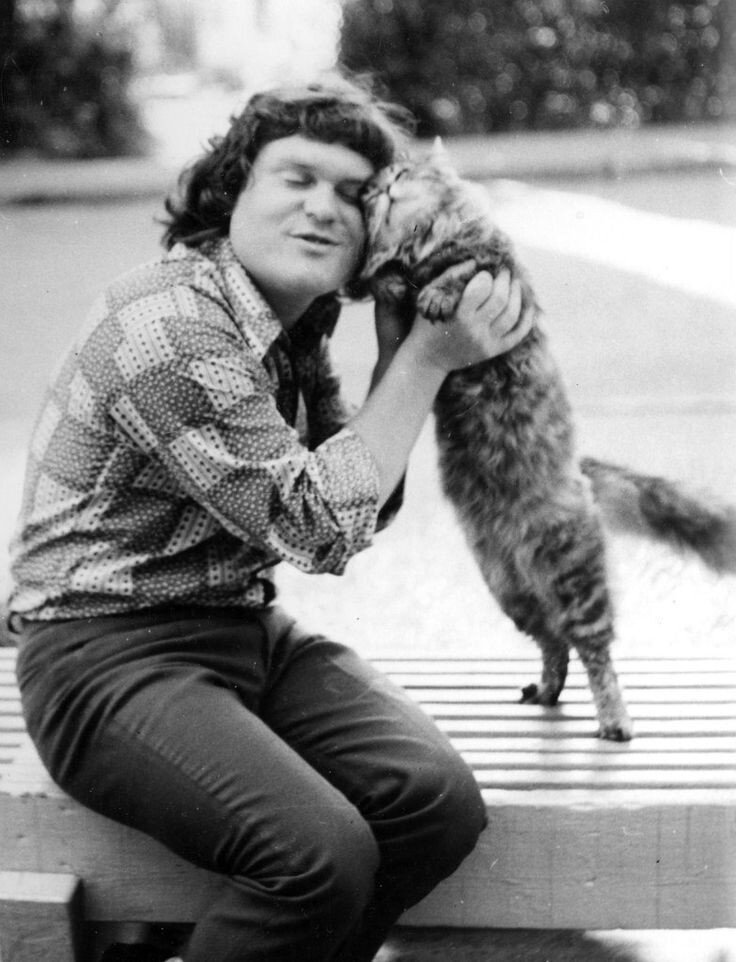 А еще говорят за переворачивается пингвинов можно деньги получать, думаю врут. 