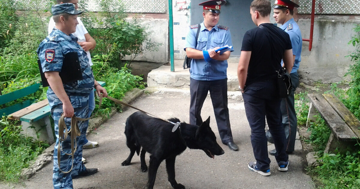 СОГ совместно с кинологом