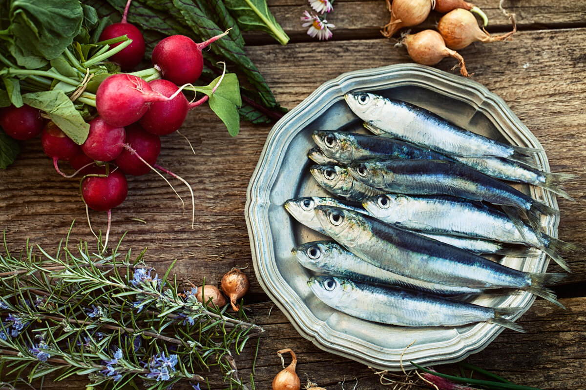 Едим соленую рыбу. Иваси, скумбрия,сельдь. Sardalya Sardines. Сардины Иваси. Сардина Средиземноморская.