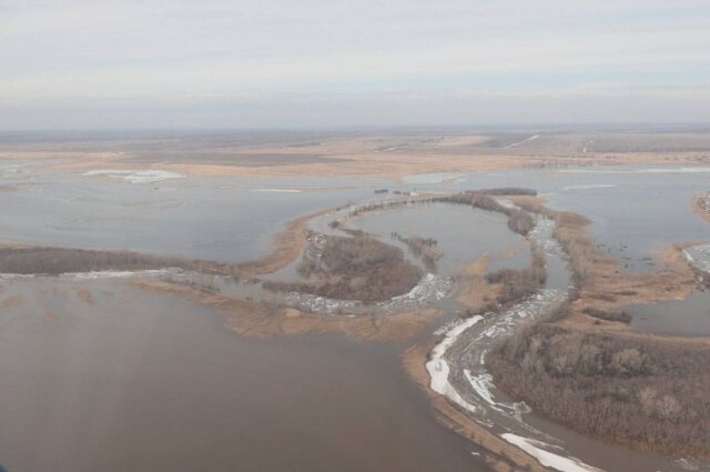    Фото: Telegram-канал Виктора Томенко