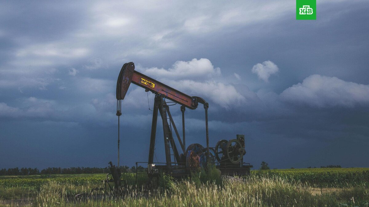    Фото: fortheloveofsmoke / unsplash.com