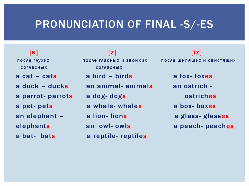 Правила английского языка окончание s. Чтение окончания s в английском. Произношение окончания s. Чтение окончаний в present simple. Окончания s z iz в английском языке.