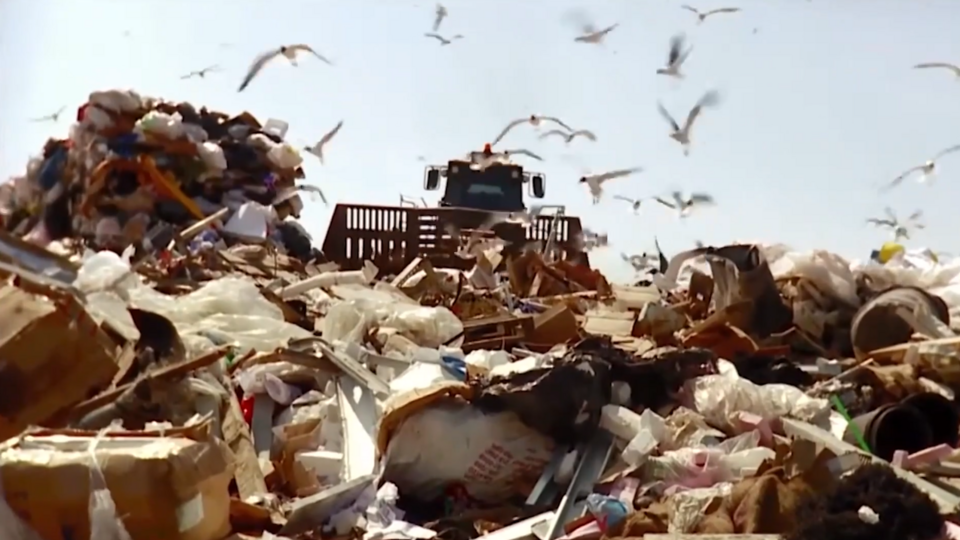 Фото: © Скриншот видео