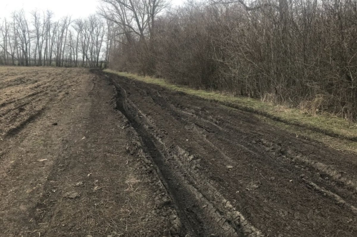 В Тверской области зарастает 530 гектаров пашни | АиФ–Тверь | Дзен