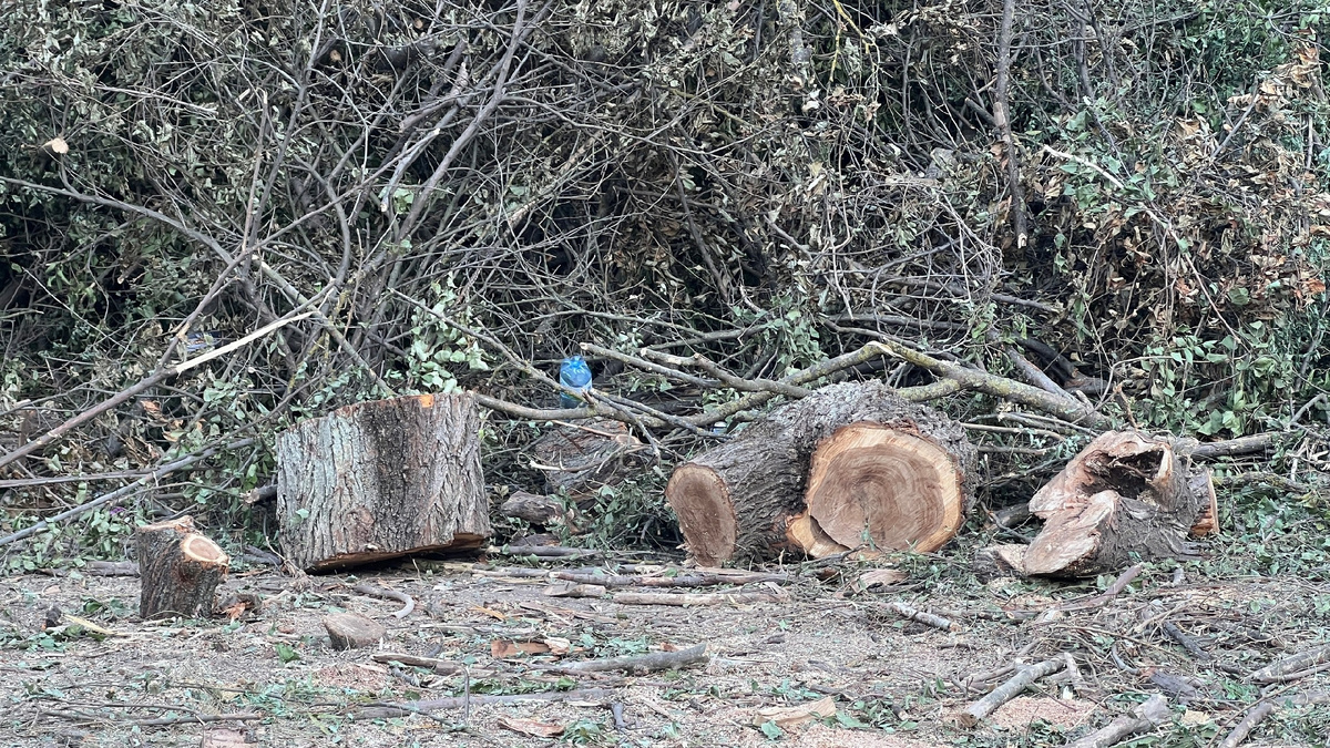 Автор фото Ирина Сироткина