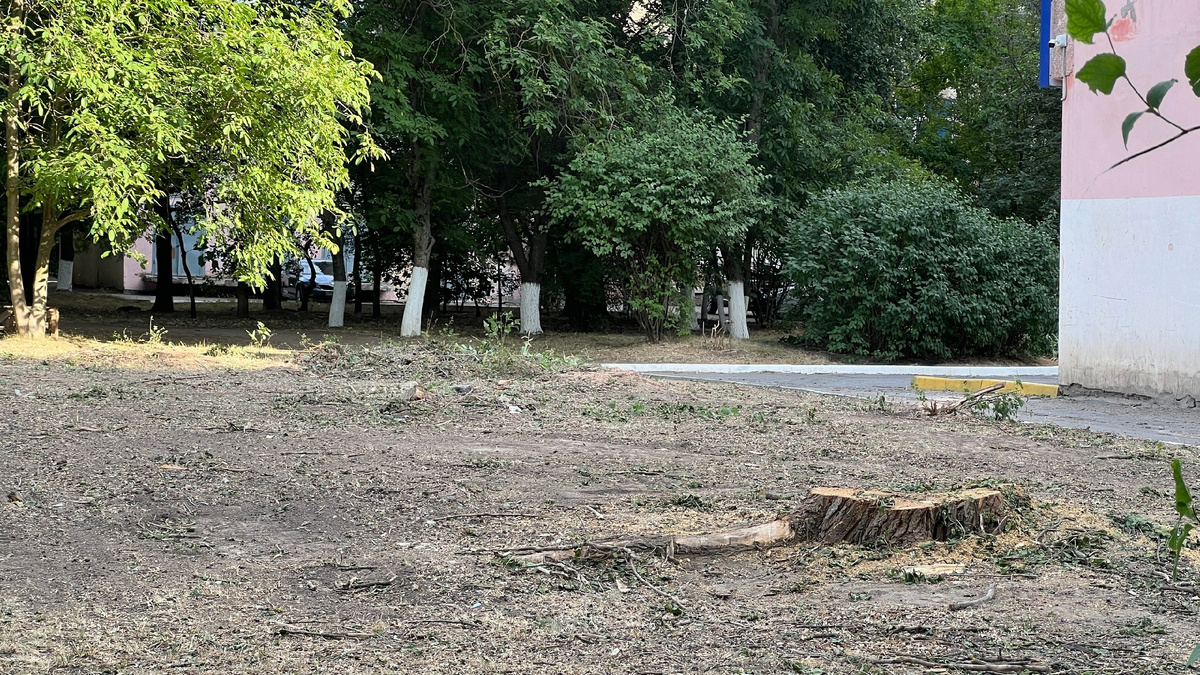 Автор фото Ирина Сироткина