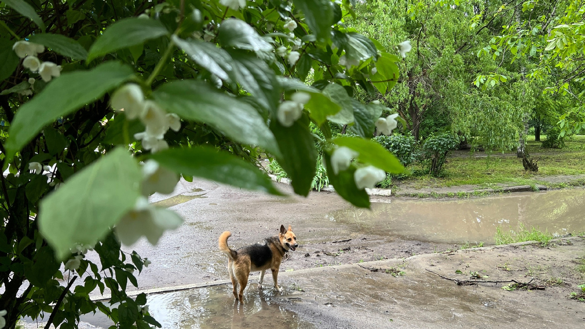 БЫЛО! Автор фото Ирина Сироткина