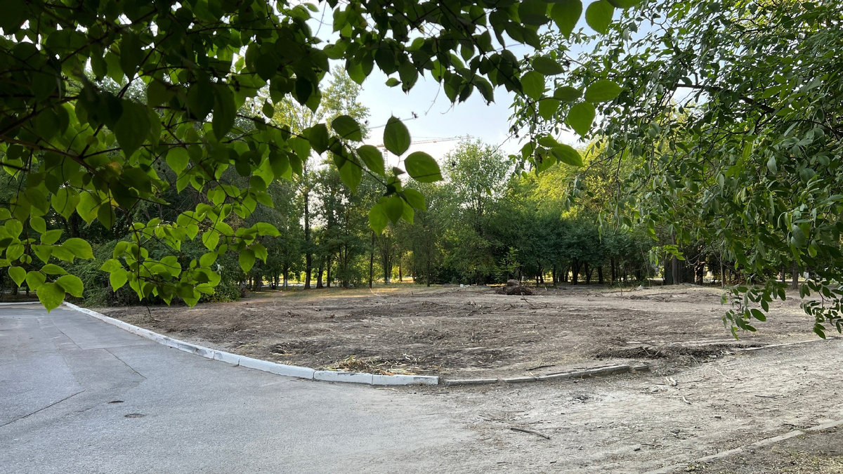 СТАЛО! Автор фото Ирина Сироткина, 2024