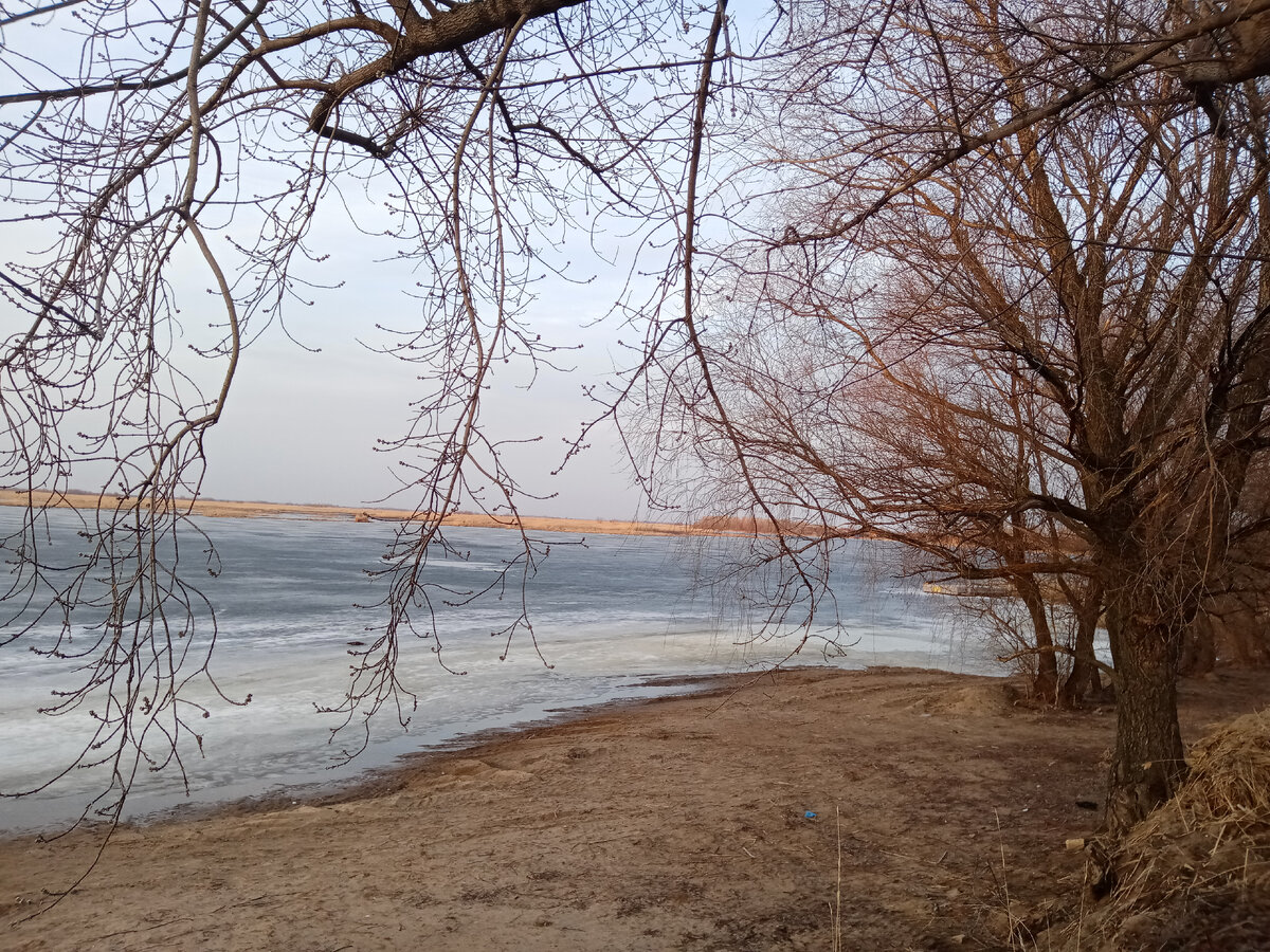 Там, примерно в паре километров, стоит на зимовке Гретин корабль.