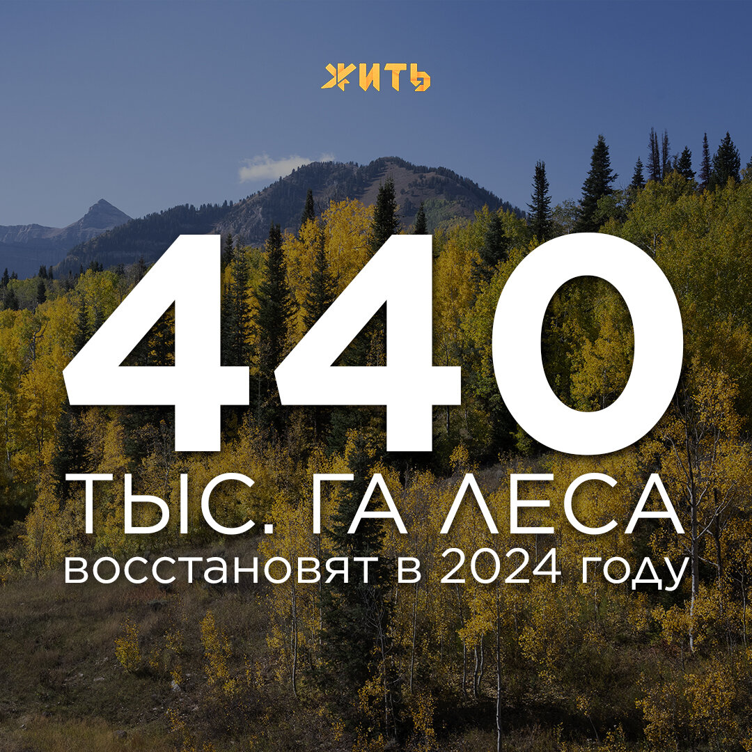 Лесные пожары и вырубка на нужды человека… Это не значит, что деревья больше никогда не вырастут в тех же местах👉🏻 В Сибири планируют восстановить 440 гектаров леса! 
Это, кстати, на 37,7 тысяч больше, чем в прошлом году👏🏻

Деревья Сибири — лёгкие России🌲🌳
