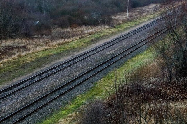   Фото из архива Калининград.Ru