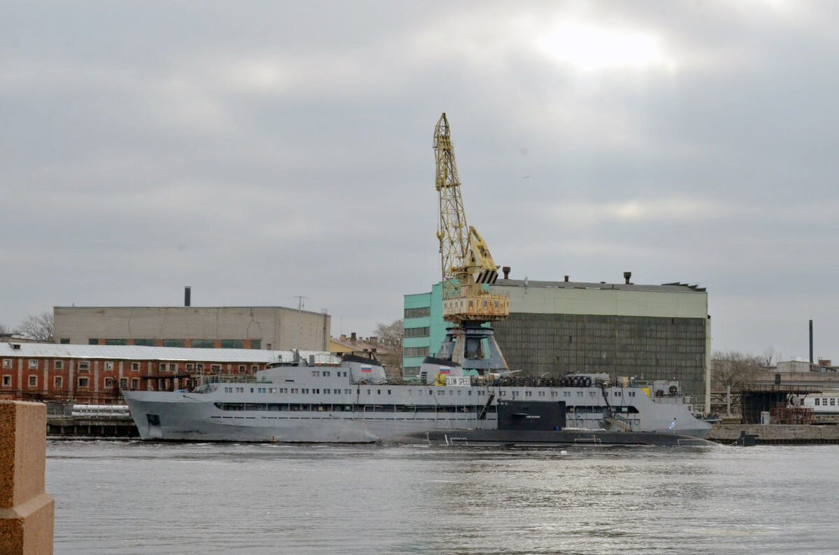 Запрет действует с начала апреля.  Фото: Фото: ФедералПресс / Татьяна Буторина