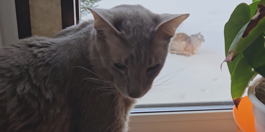 Ура, мы купили дом. Или не ура...