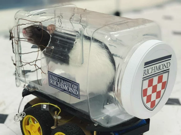 Импровизированная машина изготовлена из пластиковой бутылки, колес и несложного механизма. Внутри располагаются три рычага управления