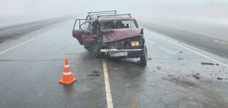    В Переволоцком районе в смертельном ДТП погиб мужчина и пострадала женщина Марина Шарт