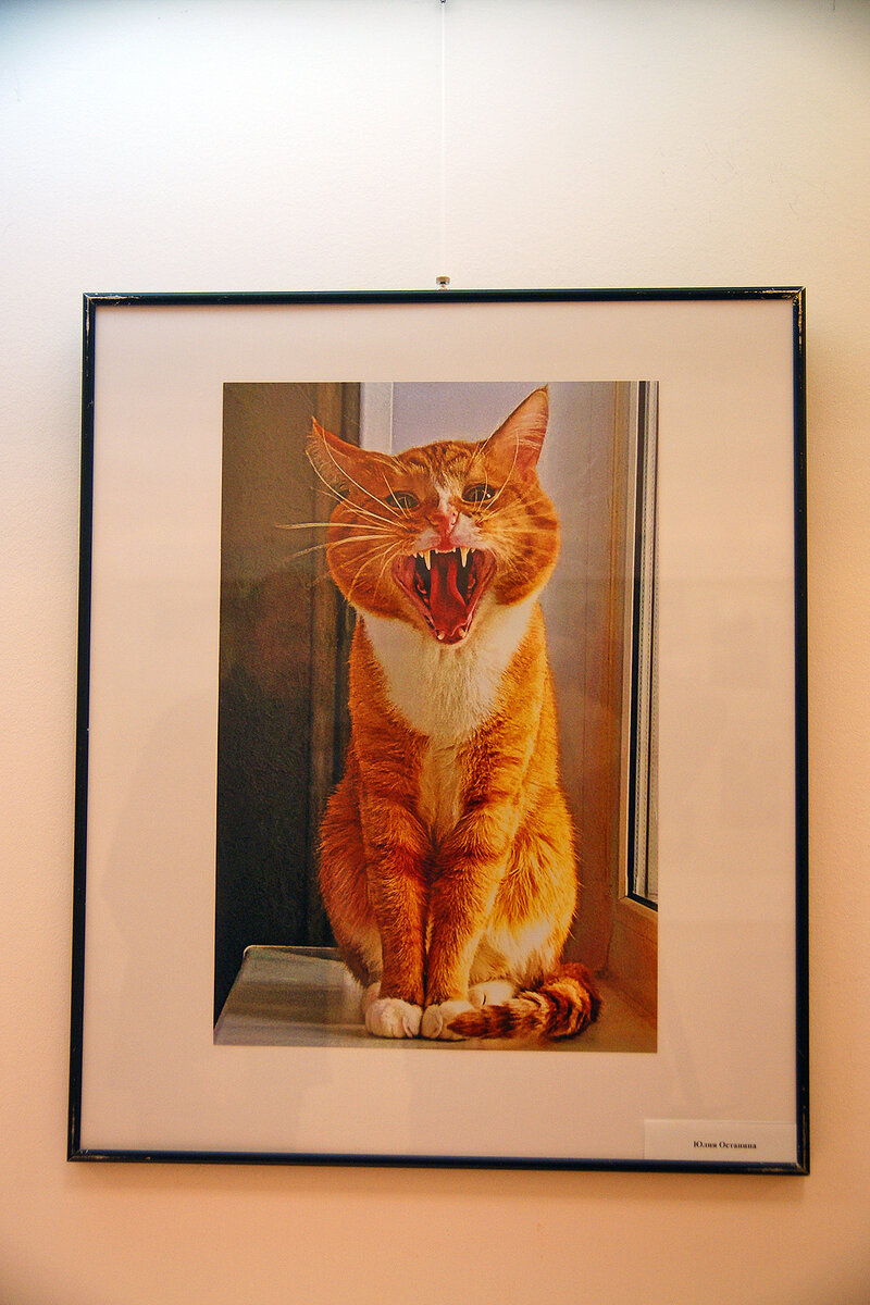 Листайте карусель (17 фото).