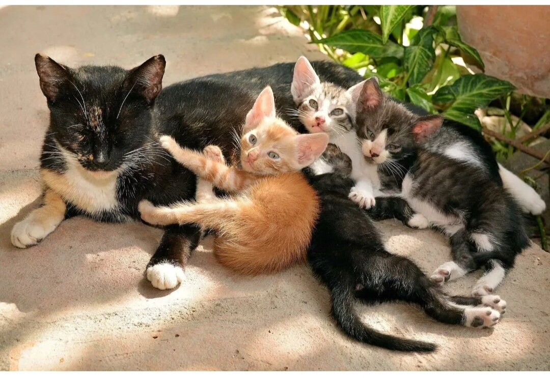 Фото из интернета