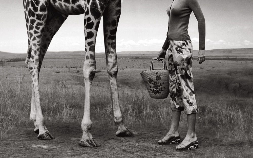 Эллиотт Эрвитт, наверное, такое мог снять кто угодно... но, по какой-то причине, не снял.