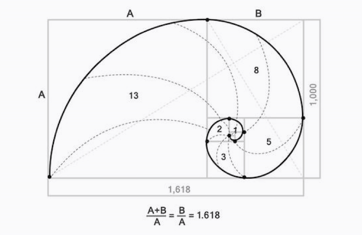 Использование золотого сечения или спирали Фибоначчи в дизайне и фотографии