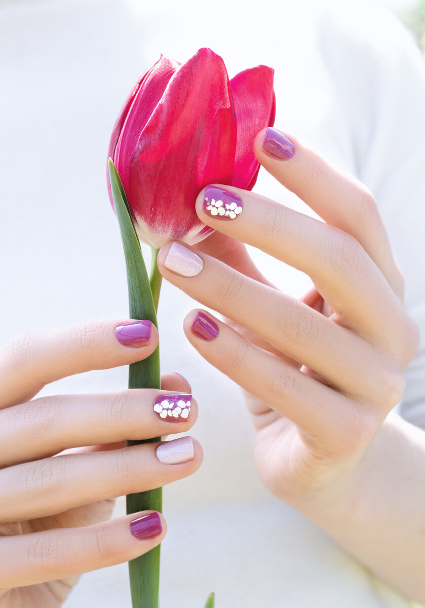 цветок в руке <a href="https://ru.freepik.com/free-photo/female-hands-with-purple-nail-design-holding-beautiful-pink-tulip_9131785.htm#fromView=search&page=2&position=36&uuid=79344b83-1459-46d1-9aac-2a5f20bd6f79">Изображение от devmaryna на Freepik</a>