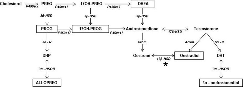  Введение Митохондрии долгое время рассматривались исключительно как клеточная органелла, ответственная за производство аденозинтрифосфата (ATP) в результате окислительного фосфорилирования.-2